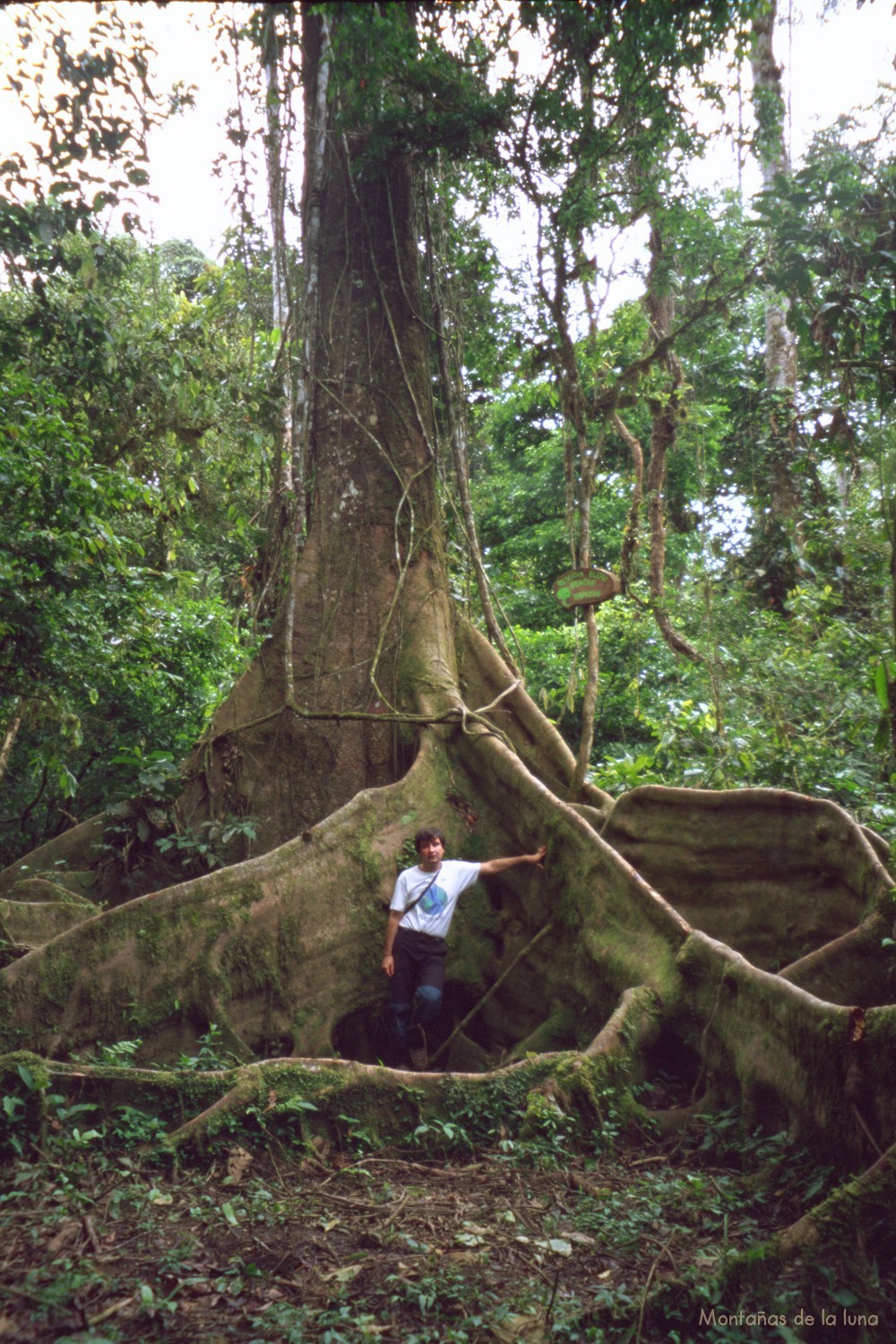 Joaquín junto a la Yapitia, un árbol de más de 200 años
